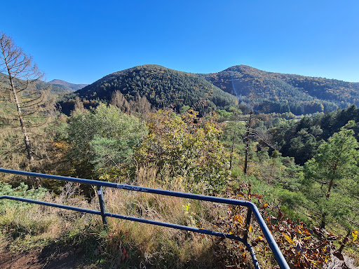 Wilgartaburg - Thumbnail