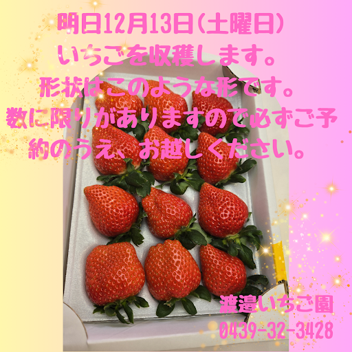 個人予約お問い合わせフォーム | いちご狩り 渡邉いちご園(千葉県君津市)