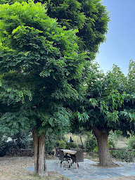 Photo n°8 de Casa di Ceppo à Patrimonio (Gîte)