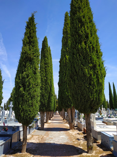 Cementerio Municipal de La Solana. - Thumbnail