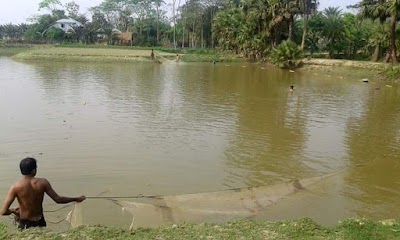 Photos of Nurul Amin Khan Fishery