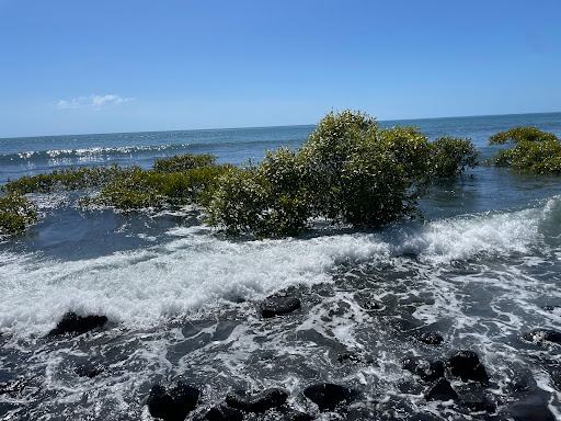 Bargara Headlands Estate Gallery - Australia
