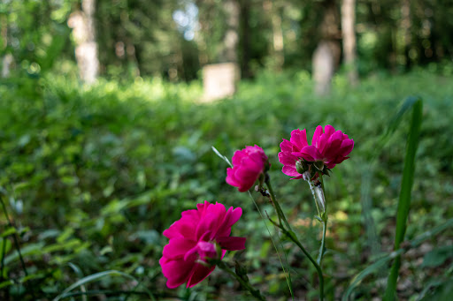 Worthington Cemetery - Thumbnail