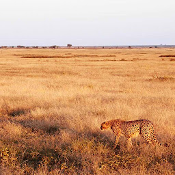 Photo n°24 de Les Voyages d'Apogée à Frontignan (Agence de voyages)