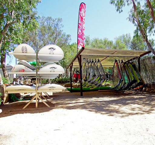 Dolphin Windsurf - Visual