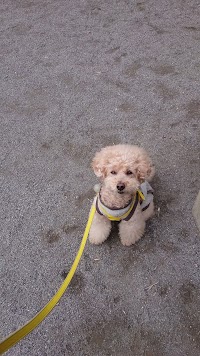 花の木児童遊園