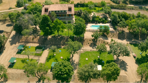 Hotel para perros Resort Canino 5*GL Dondersteen