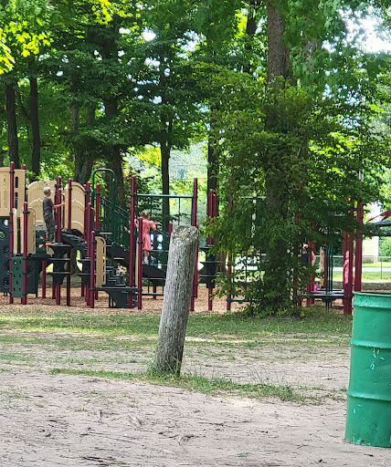 Palmer Park Mancelona Mi