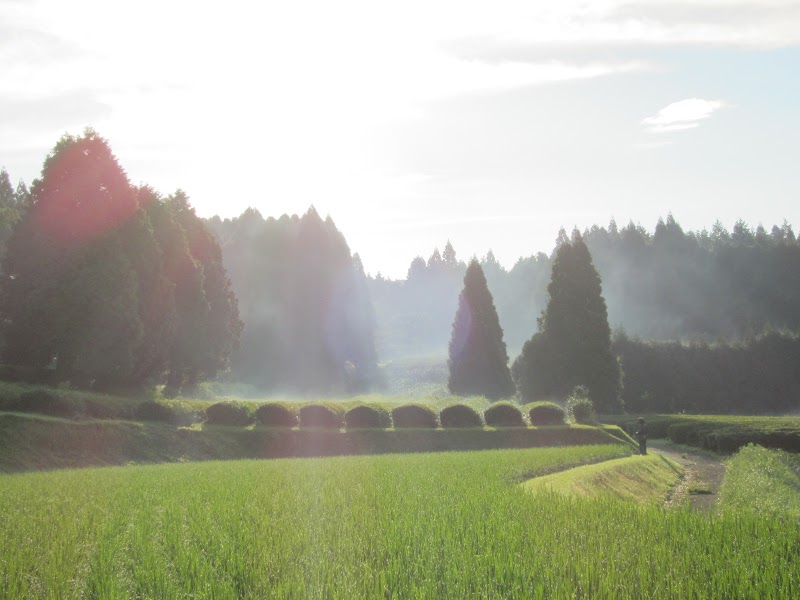 アンナプルナ農園