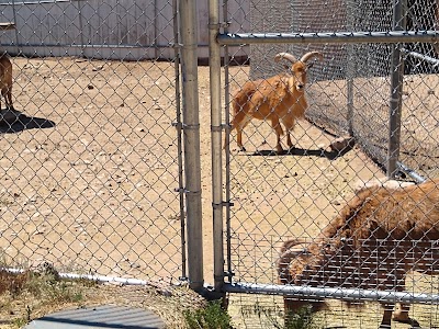 Sierra Nevada Zoological Park