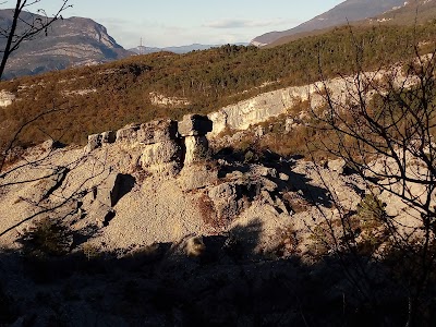 Fungo di Albaredo