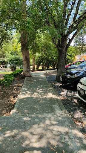 Clínica Canoas - Thumbnail