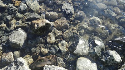 Photos of GRANDIET Clorinda