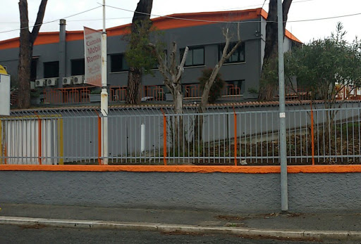 Blasi Traslog srl