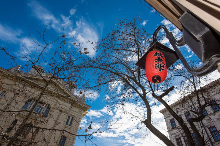 Nimród Restaurant / Momotaro Restaurant by null