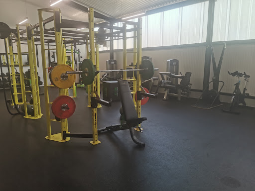 Gym Active - Visual
