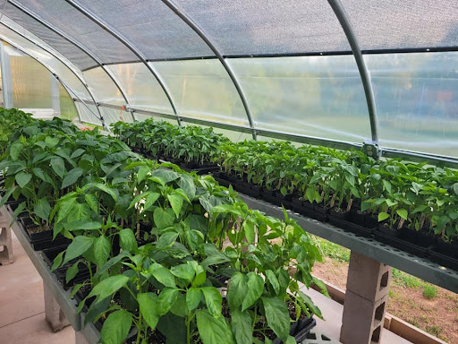 Back Road Organic Supply Gallery - United States