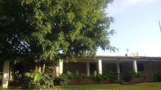 Quinta Tonalli - Thumbnail