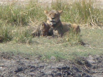 Photos of Makgadikgadi Pans National Park