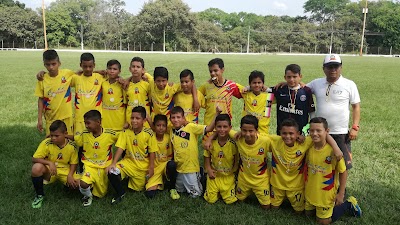 stadium