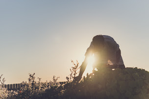 Photo n°58 de Les Jardins Sauvages à La Gacilly (Restaurant français)