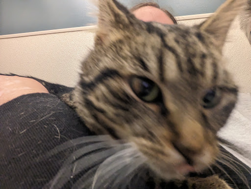 Humane Society of Douglas County - Thumbnail