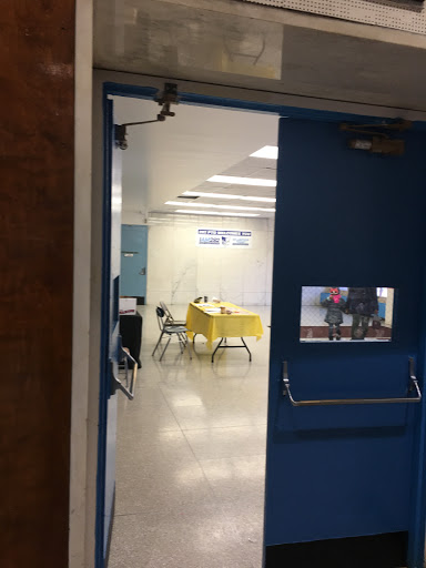 PS 282 Park Slope School - Thumbnail