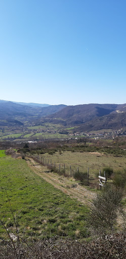 La pelata - Visual
