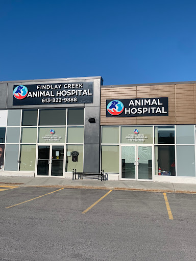 Findlay Creek Animal Hospital - Thumbnail