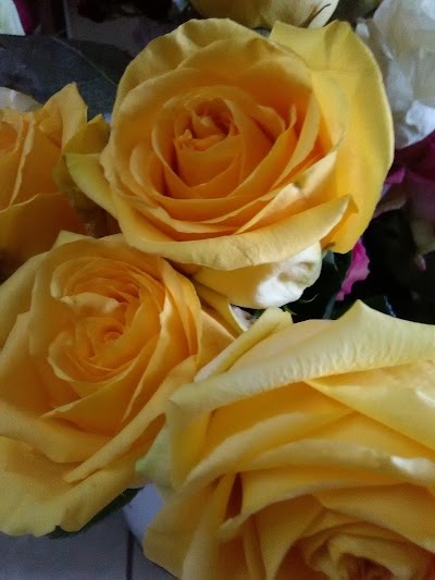 florist