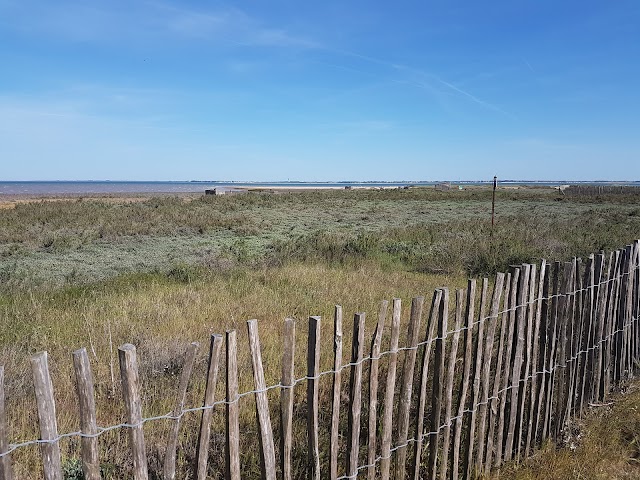 Réserve Naturelle Nationale de la baie de l'Aiguillon