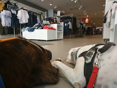 Photos of H & M Hennes & Mauritz GesmbH