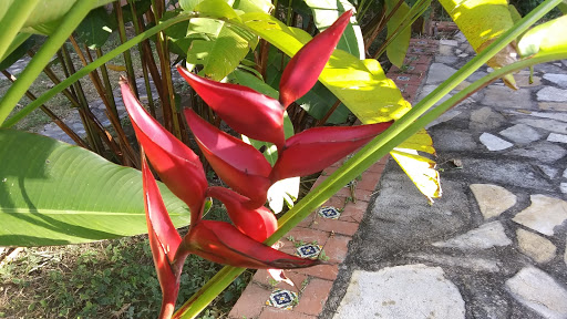 Rancho Los Arrayanes - Visual