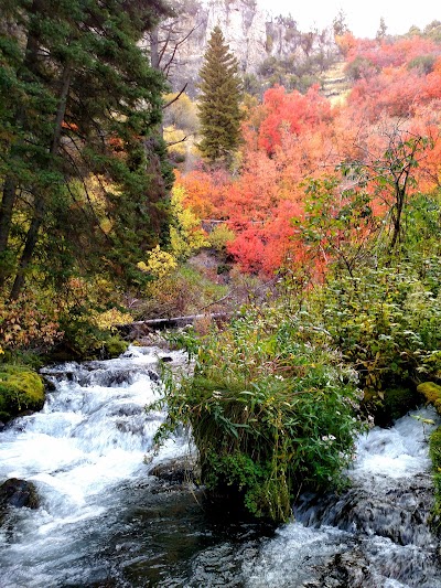 Paris Springs Campground