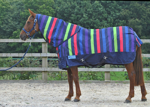 Maxima Equestrian - Visual