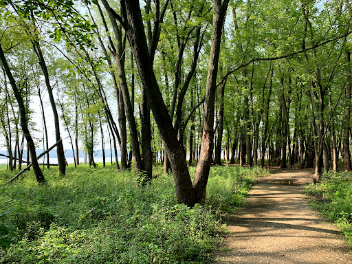 Cooper Park North