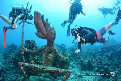 Photos of Scuba Lodge Dive Center Pietermaai