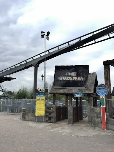 The Swarm