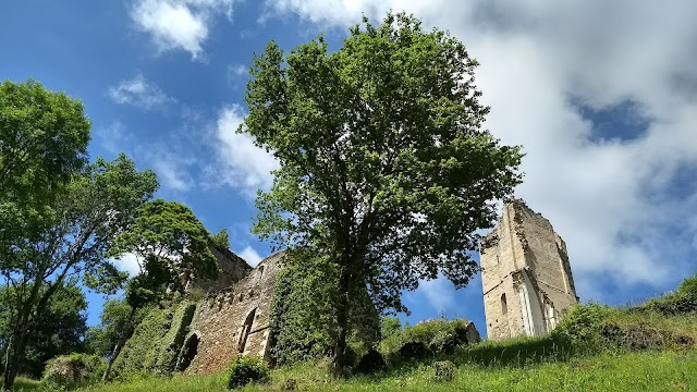 Château de Châlucet