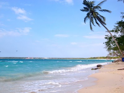 Photos of TOUR EN CARTAGENA - Islas del Rosario y Playa Blanca