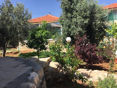 Photos of Rose Farm Amman