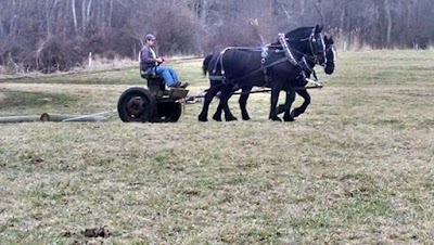 Side Hill Farm