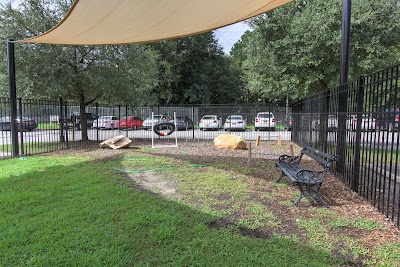 Photos of Charleston Animal Society