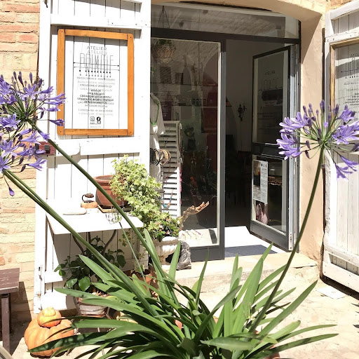 Atelier Primitif - Visual