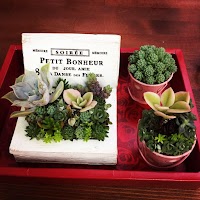 カフェ シェイク＆ハート