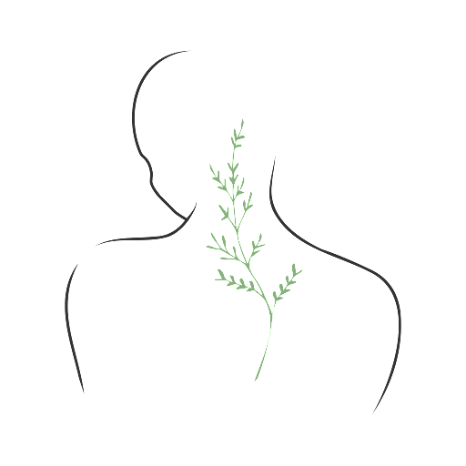 Habeas Corpus - Visual