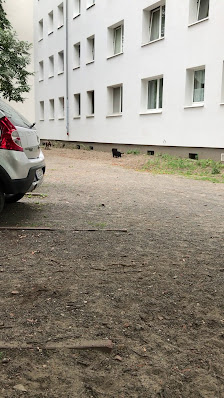 Tierarztpraxis Adlershof Dörpfeldstraße 46, 12489 Berlin, Deutschland