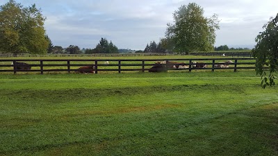 Photos of Amberfields Bed and Breakfast