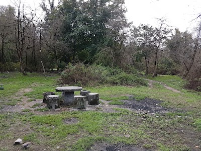 Photos of Si Sangan Forest Park