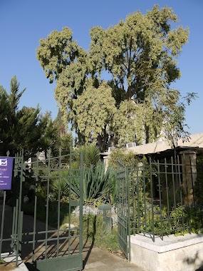 Jordan River Foundation - Showroom, Author: Werner Müller